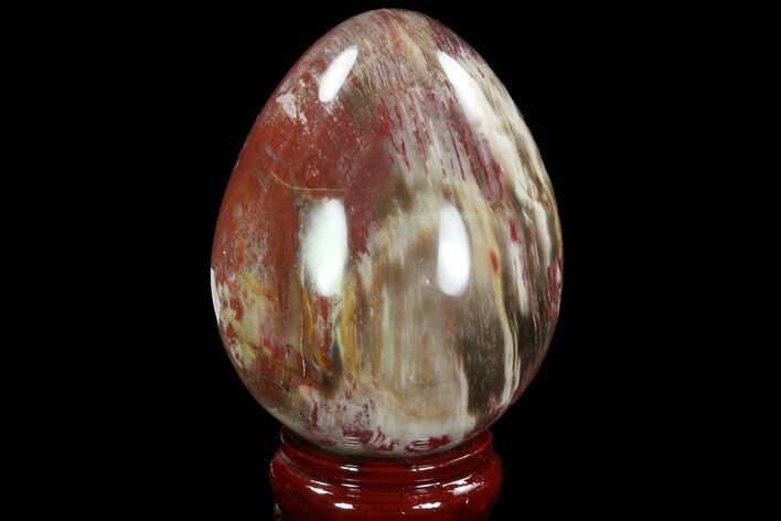 Colorful, Polished Petrified Wood Egg - Triassic #92429